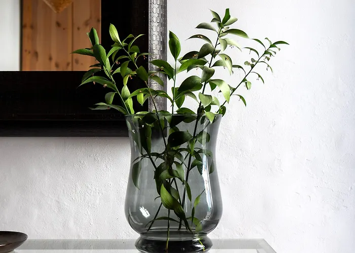 Arena House Conil ゲストハウス 4*